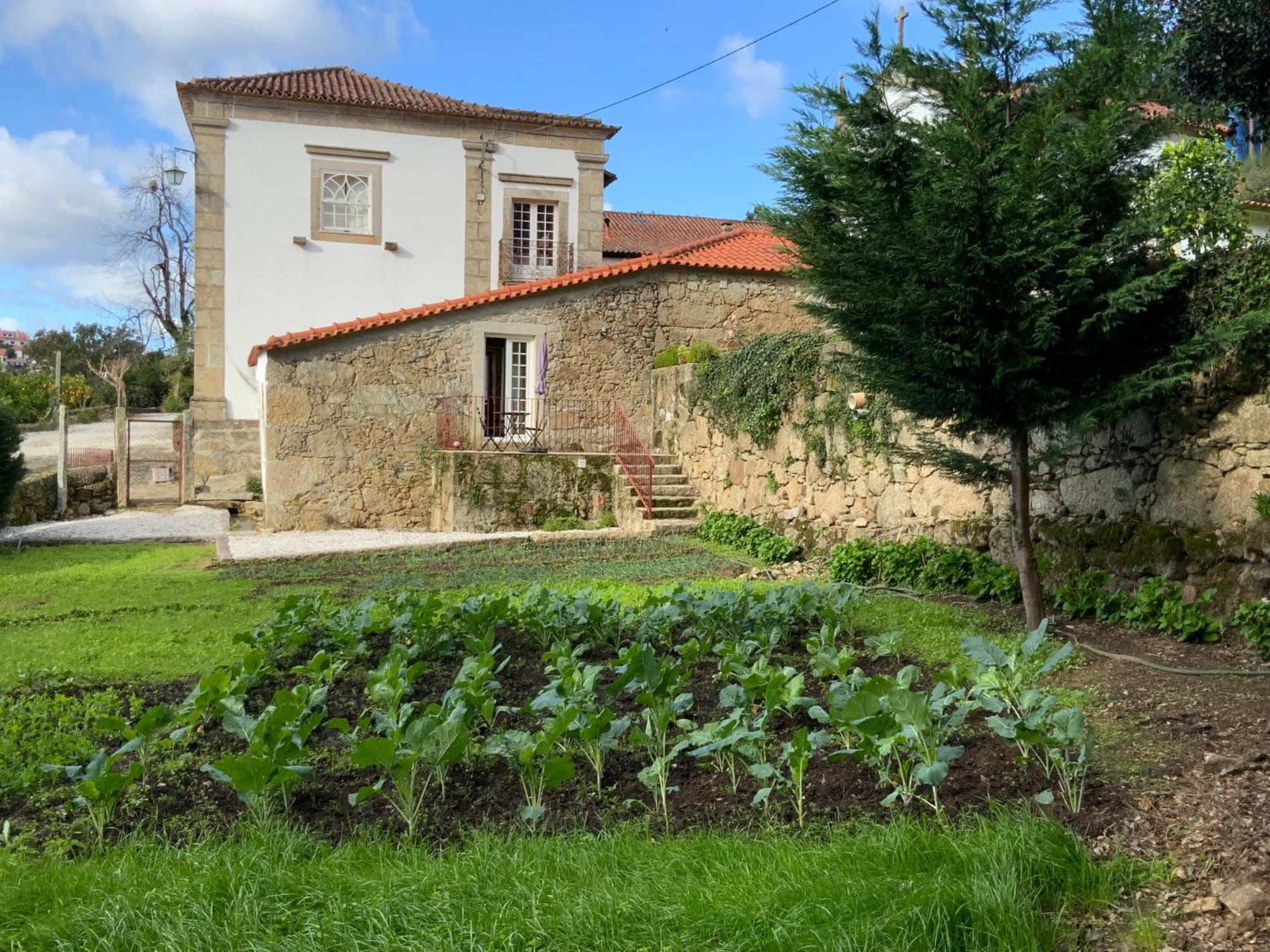 バホセラス Quinta Do Bravioヴィラ エクステリア 写真