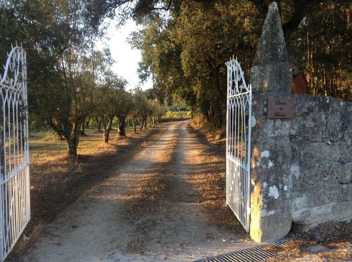 バホセラス Quinta Do Bravioヴィラ エクステリア 写真